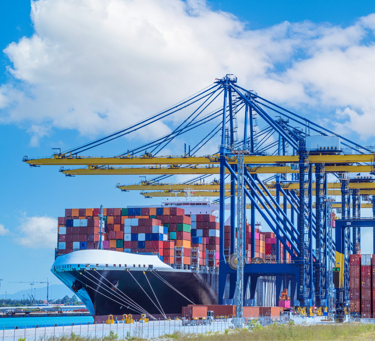 Navigating Challenges & Entering Supply Chain | 2020